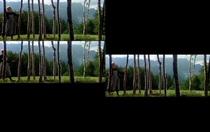 Gregg Biermann's The Hills Are Alive