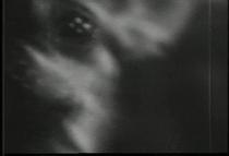 Samuel Beckett's Film and Deleuze